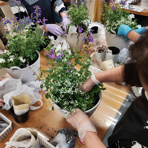 寄せ植え教室「夏の寄せ植え」を開催しました | 公益財団法人